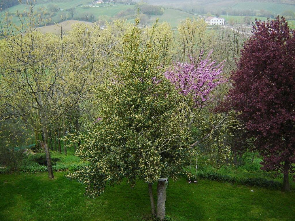 Casale Del Monsignore Spoleto Luaran gambar